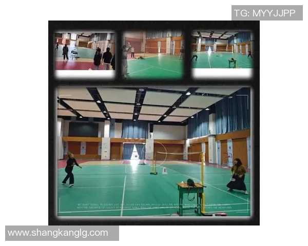 南京羽毛球队在洲际杯中的默契配合与战术分析